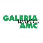Logo firmy Galeria Wnętrz AMC