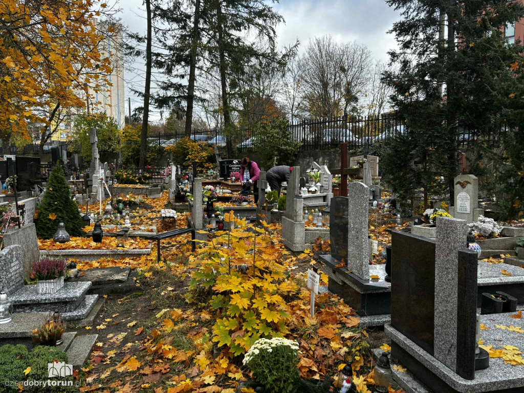 Przygotowania do 1 listopada na cmentarzu św. Jerzego