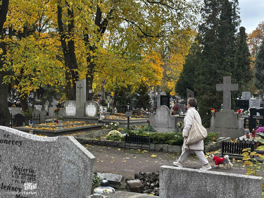 Przygotowania do 1 listopada na cmentarzu św. Jerzego
