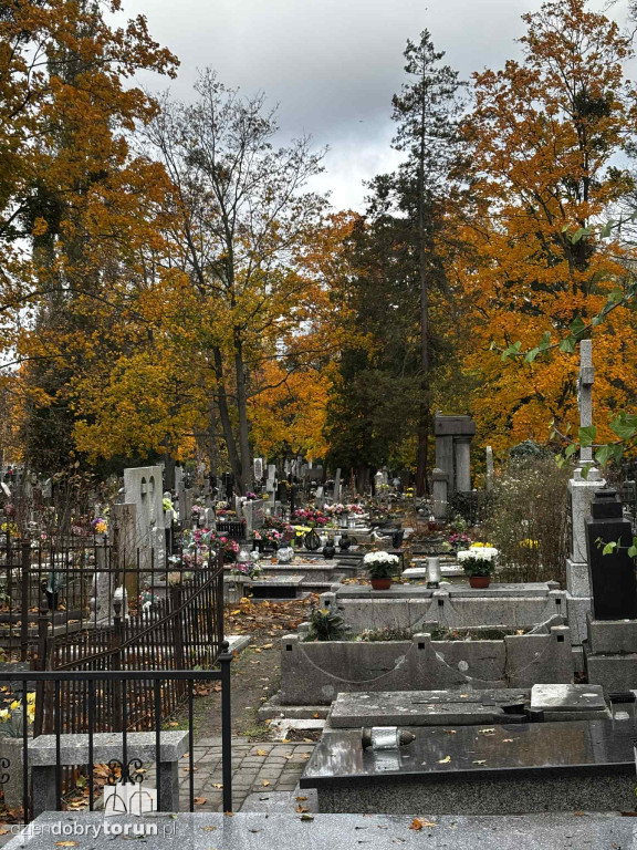 Przygotowania do 1 listopada na cmentarzu św. Jerzego