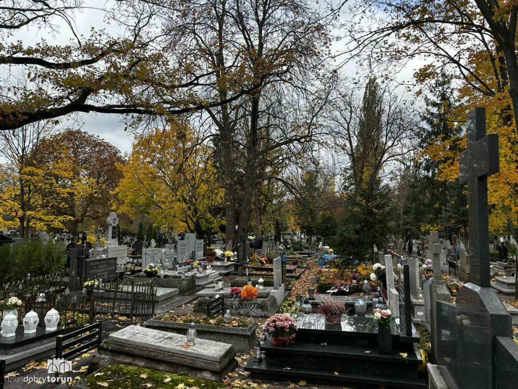 Przygotowania do 1 listopada na cmentarzu św. Jerzego