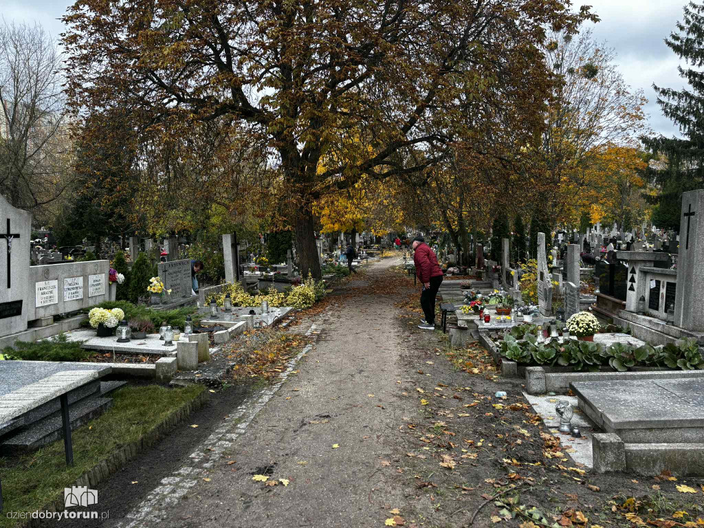 Przygotowania do 1 listopada na cmentarzu św. Jerzego