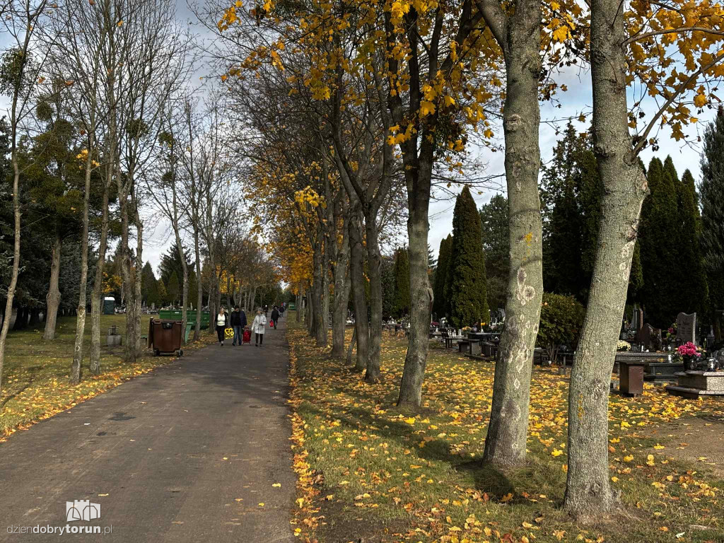 Cmentarz Centralny przed Dniem Wszystkich Świętych