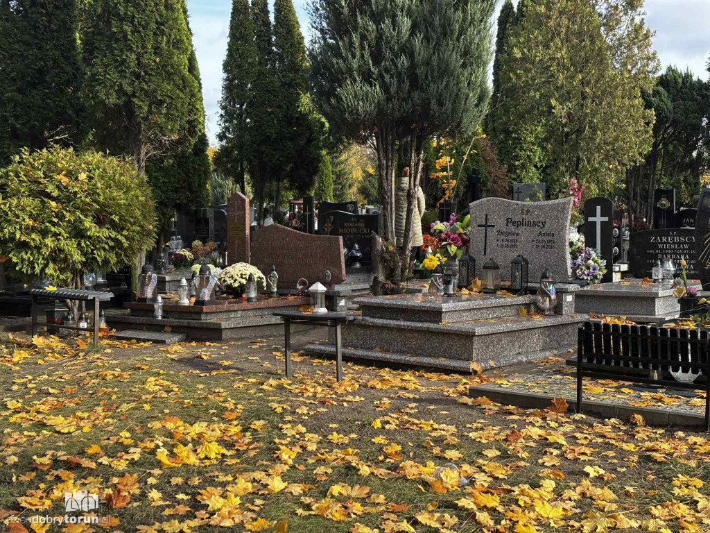 Cmentarz Centralny przed Dniem Wszystkich Świętych