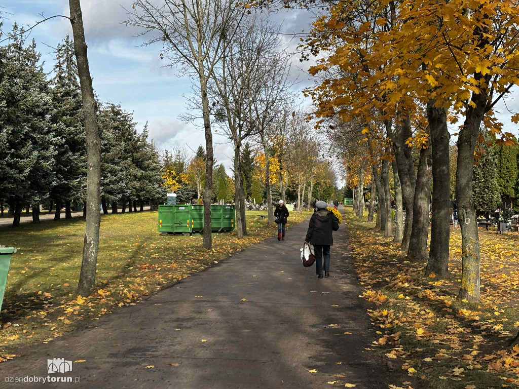 Cmentarz Centralny przed Dniem Wszystkich Świętych