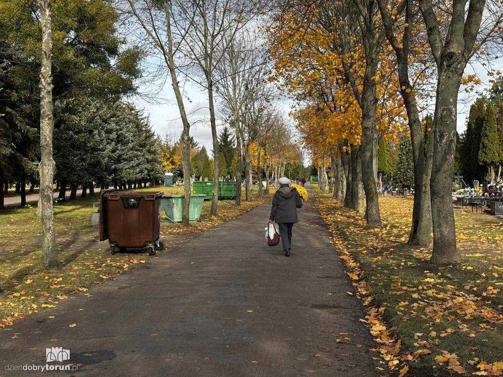 Cmentarz Centralny przed Dniem Wszystkich Świętych
