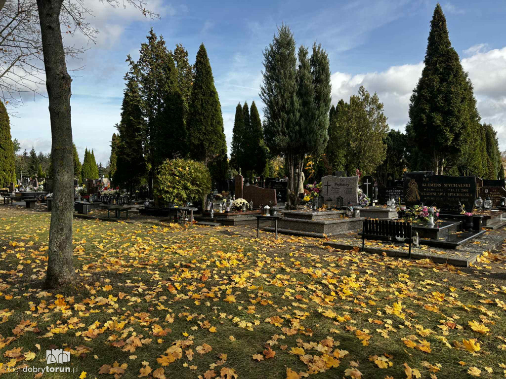 Cmentarz Centralny przed Dniem Wszystkich Świętych