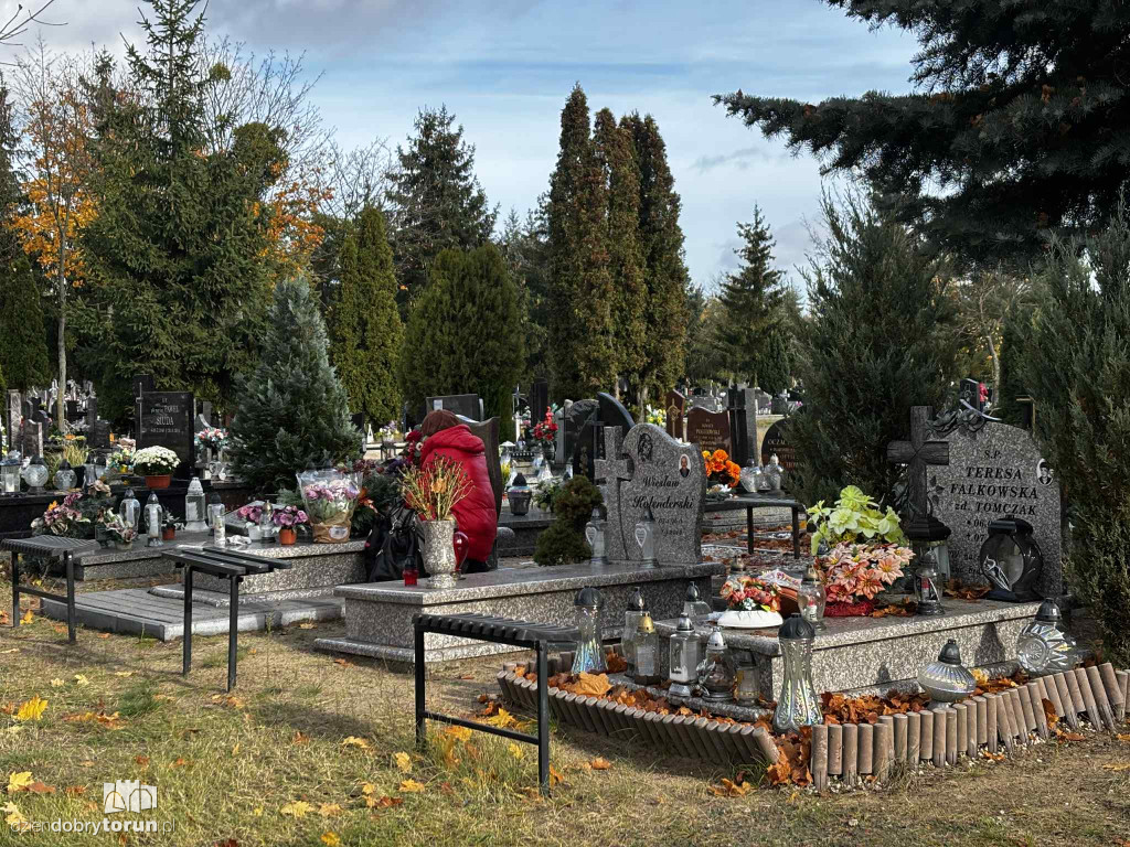 Cmentarz Centralny przed Dniem Wszystkich Świętych