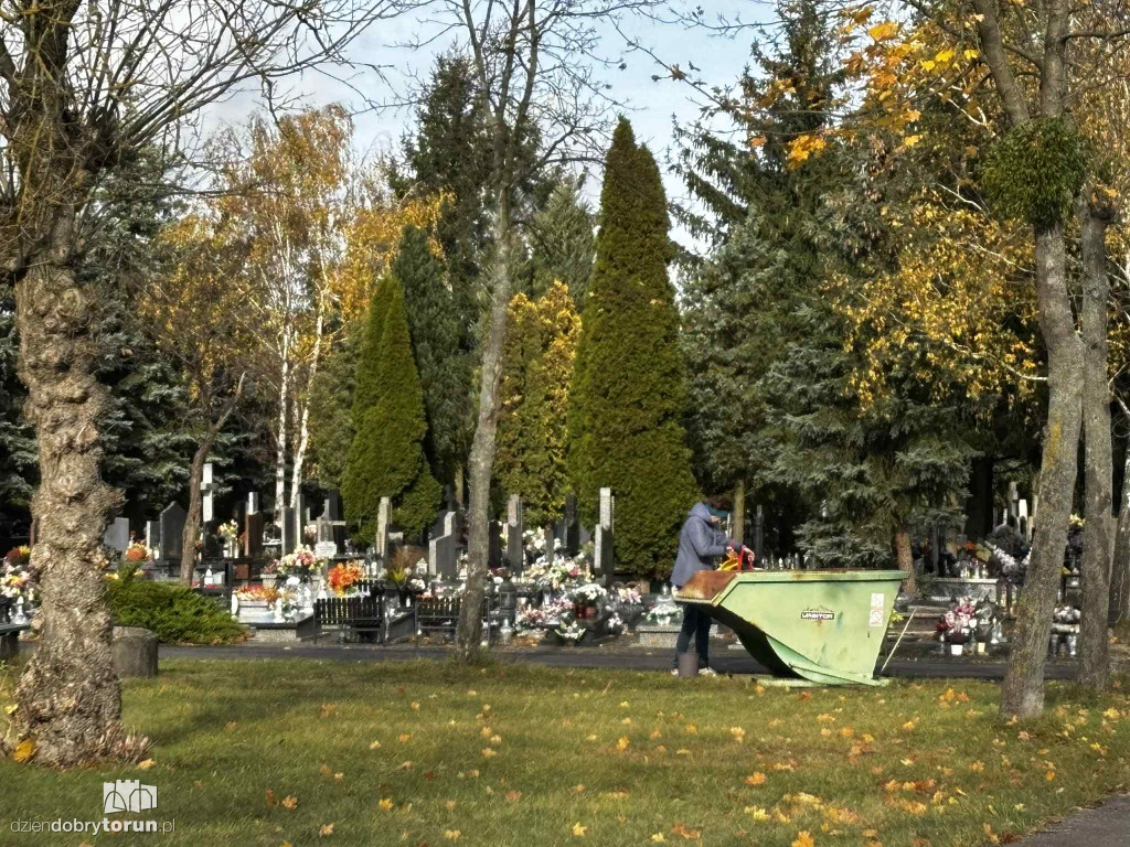 Cmentarz Centralny przed Dniem Wszystkich Świętych