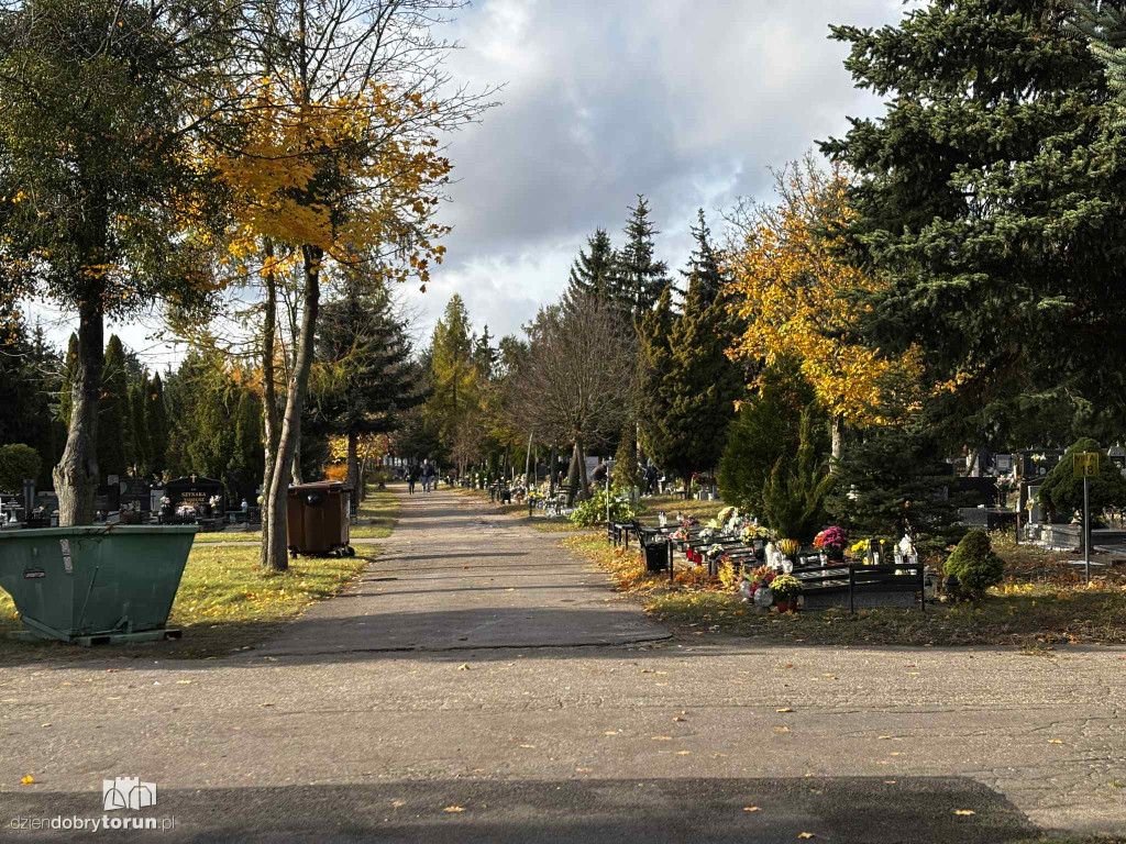 Cmentarz Centralny przed Dniem Wszystkich Świętych