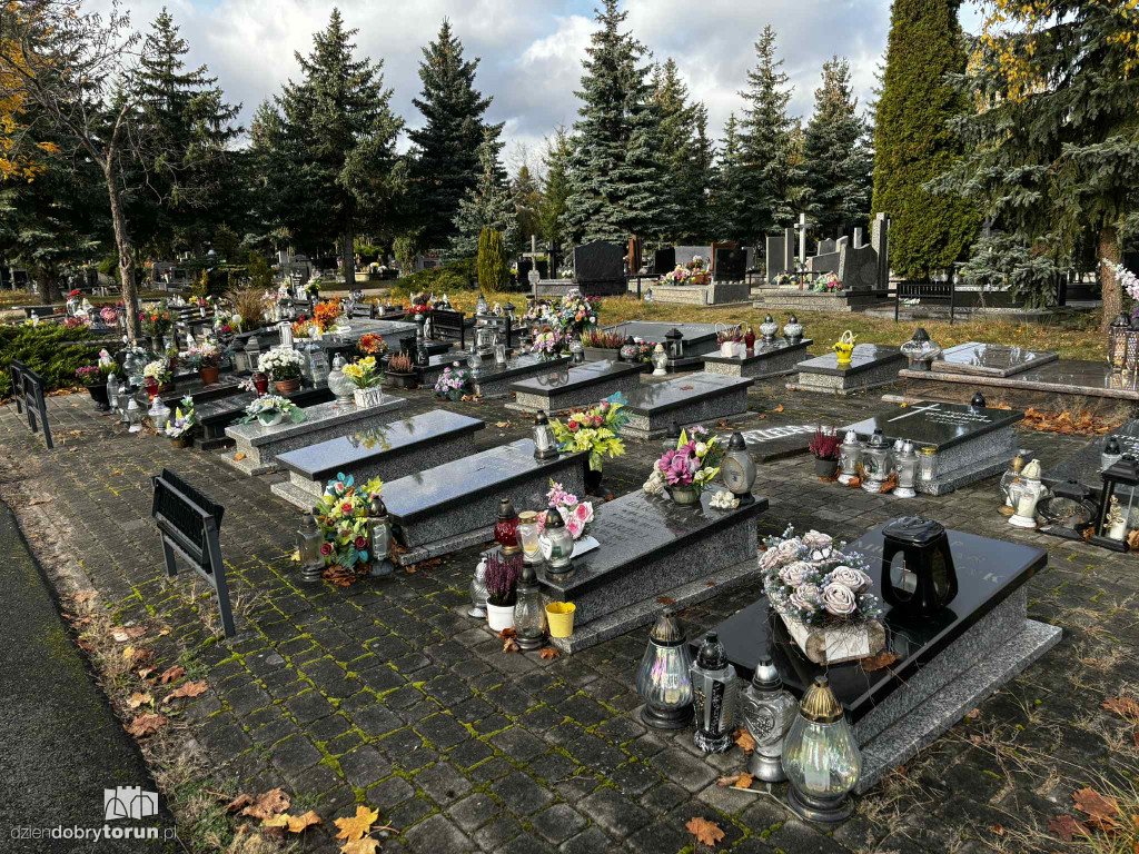 Cmentarz Centralny przed Dniem Wszystkich Świętych