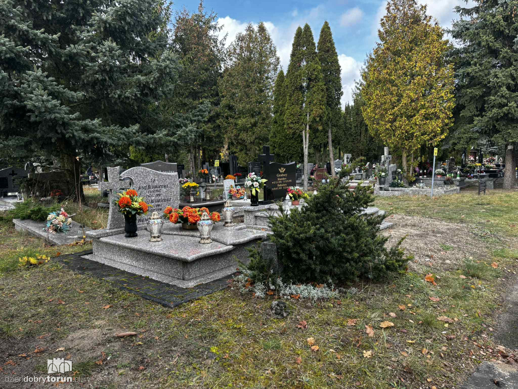 Cmentarz Centralny przed Dniem Wszystkich Świętych