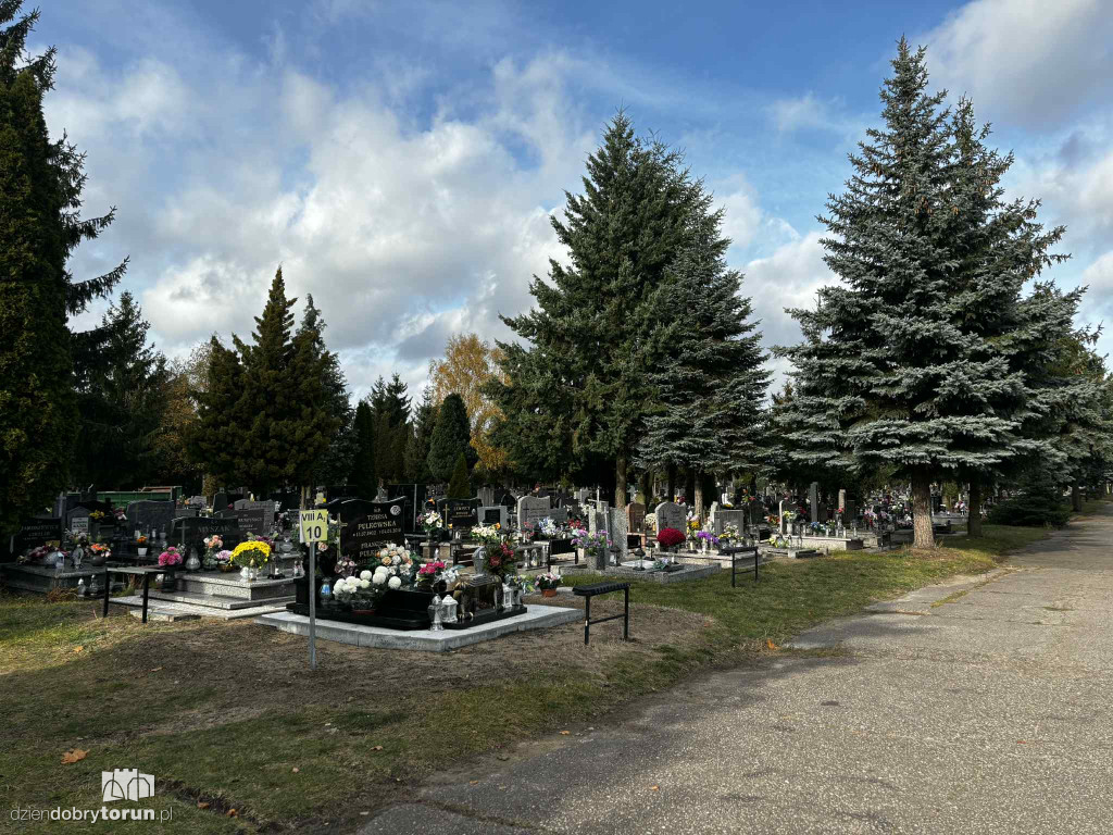 Cmentarz Centralny przed Dniem Wszystkich Świętych