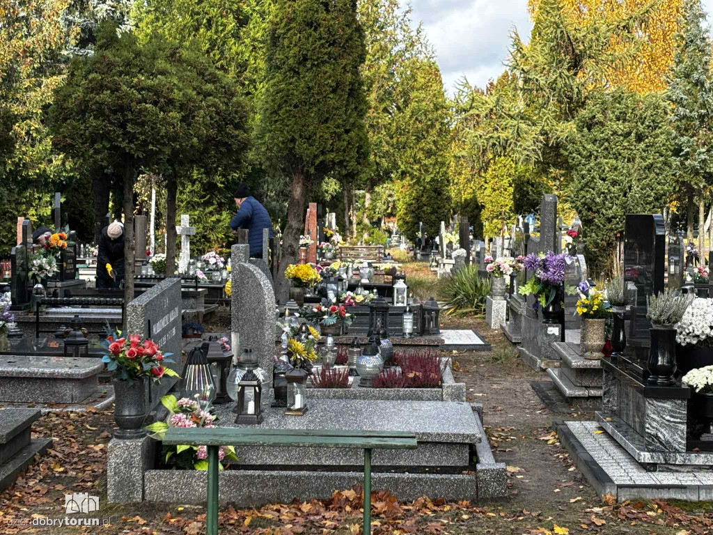 Cmentarz Centralny przed Dniem Wszystkich Świętych