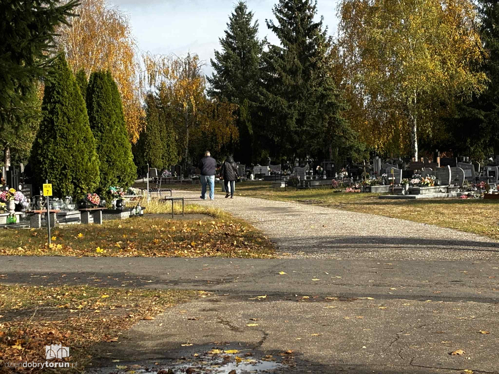 Cmentarz Centralny przed Dniem Wszystkich Świętych