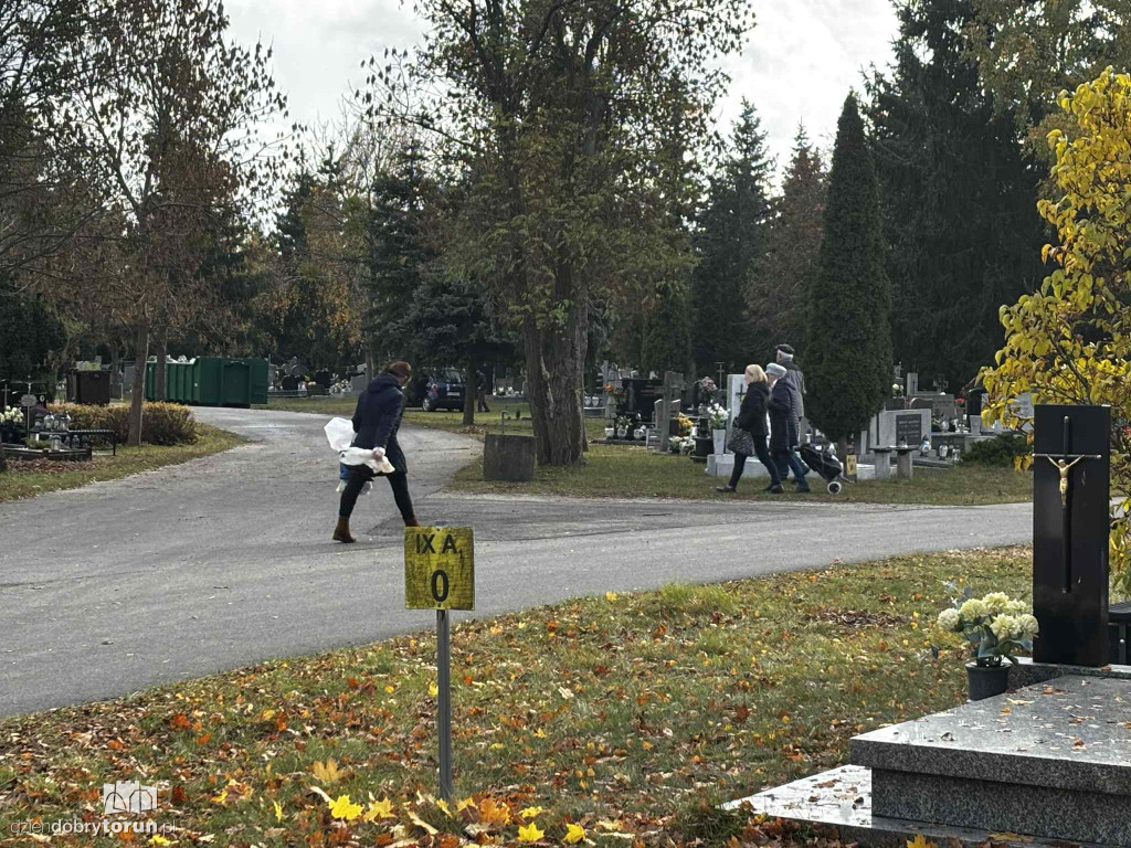 Cmentarz Centralny przed Dniem Wszystkich Świętych