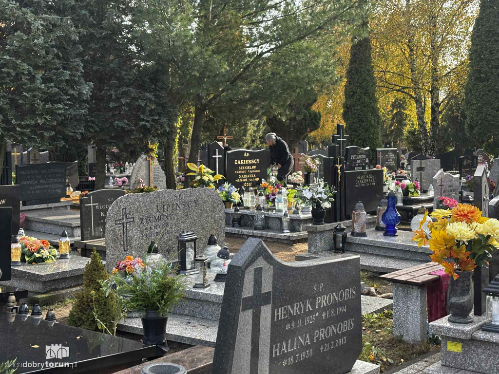 Cmentarz Centralny przed Dniem Wszystkich Świętych