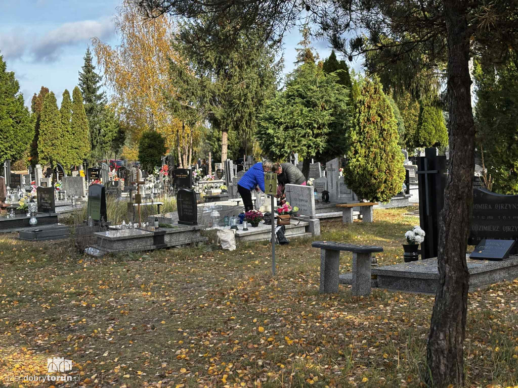 Cmentarz Centralny przed Dniem Wszystkich Świętych