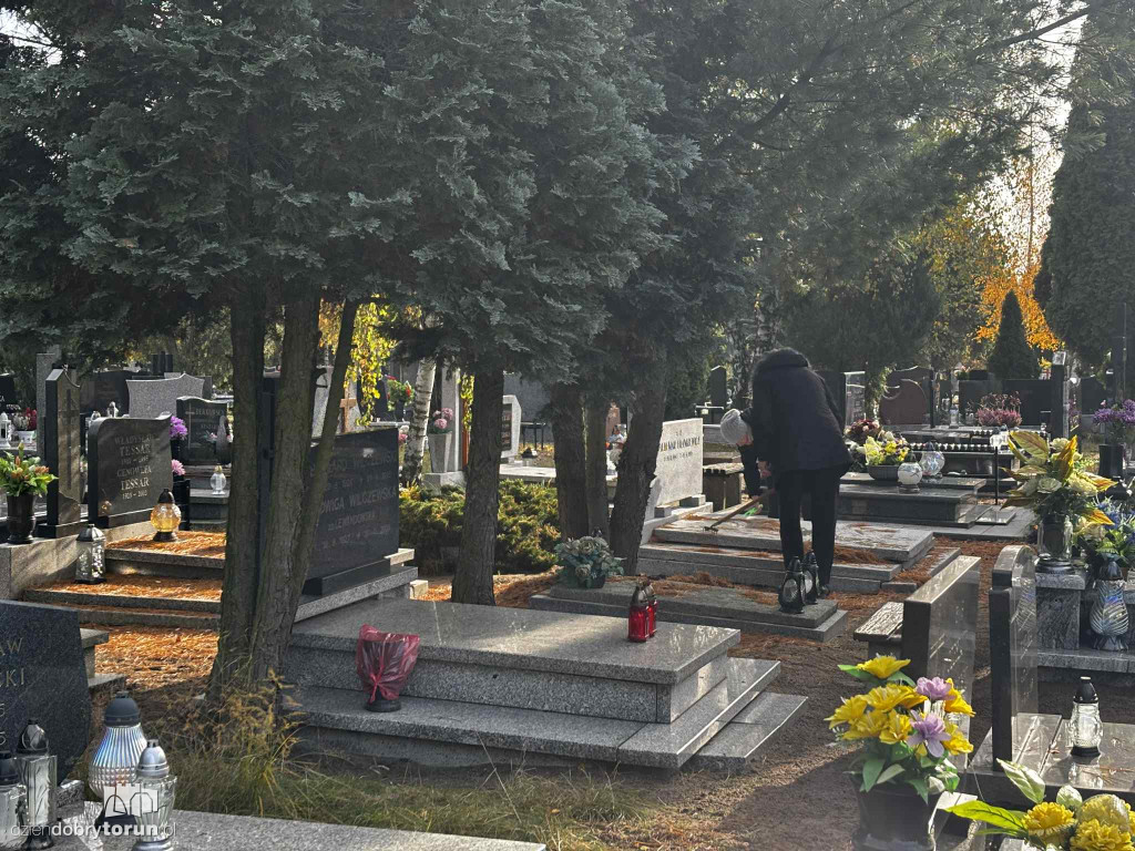 Cmentarz Centralny przed Dniem Wszystkich Świętych