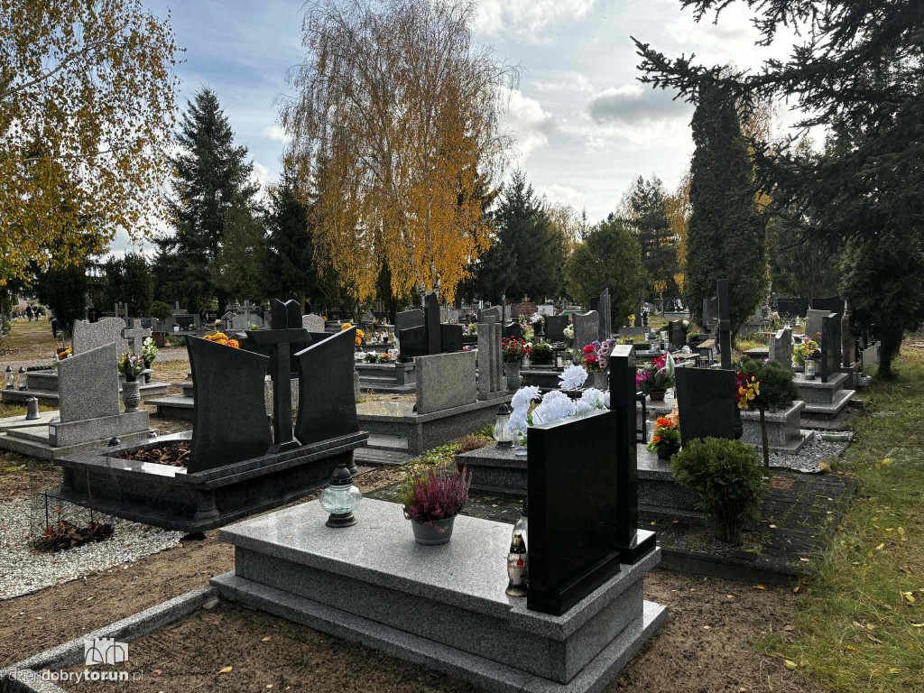 Cmentarz Centralny przed Dniem Wszystkich Świętych