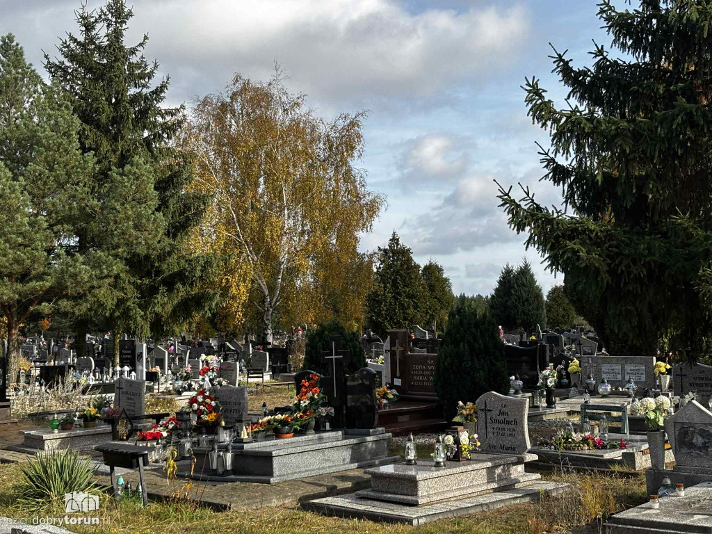 Cmentarz Centralny przed Dniem Wszystkich Świętych