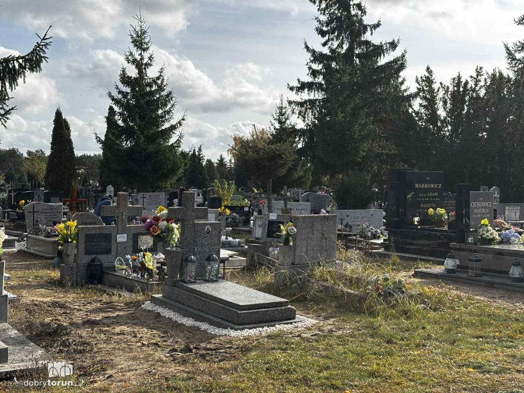 Cmentarz Centralny przed Dniem Wszystkich Świętych