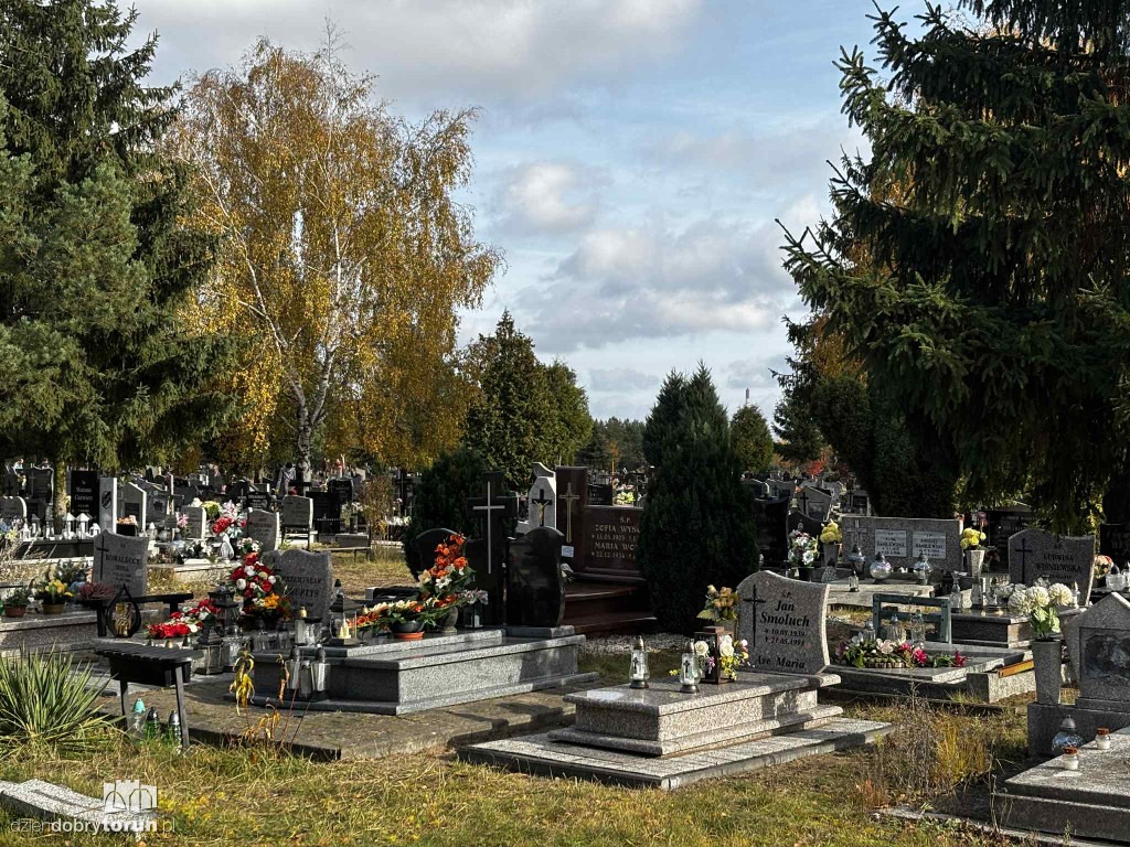 Cmentarz Centralny przed Dniem Wszystkich Świętych