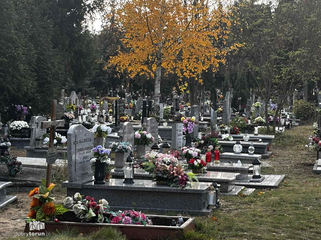 Cmentarz Centralny przed Dniem Wszystkich Świętych