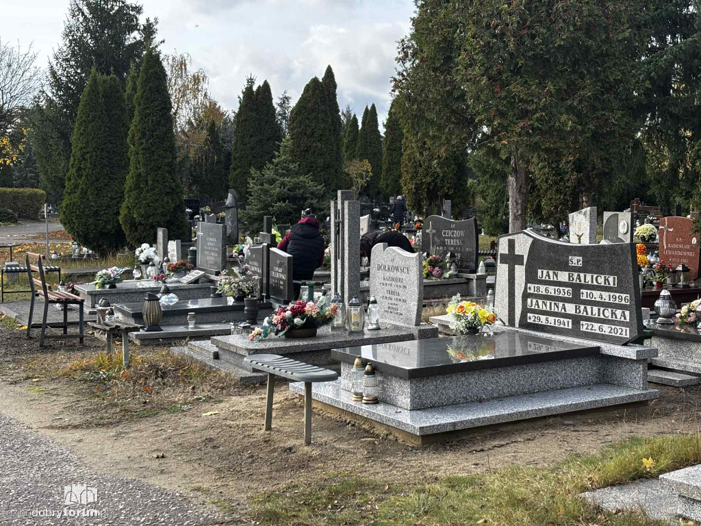 Cmentarz Centralny przed Dniem Wszystkich Świętych