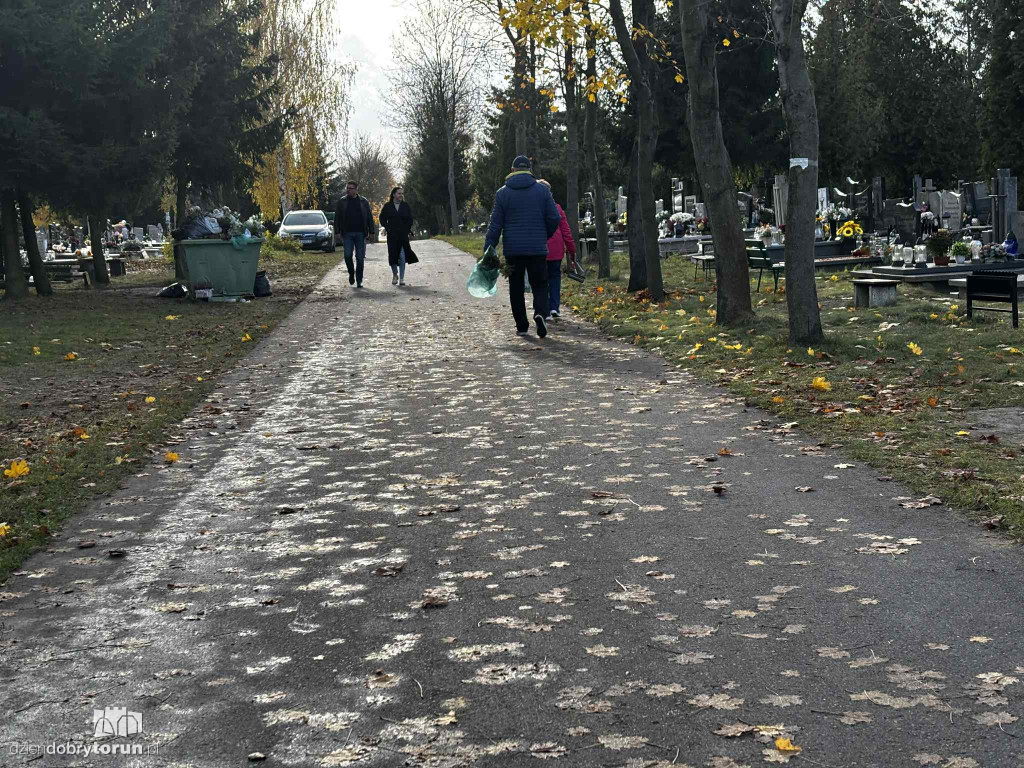 Cmentarz Centralny przed Dniem Wszystkich Świętych