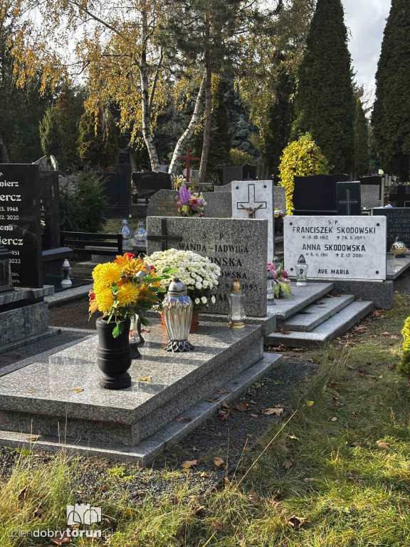 Cmentarz Centralny przed Dniem Wszystkich Świętych