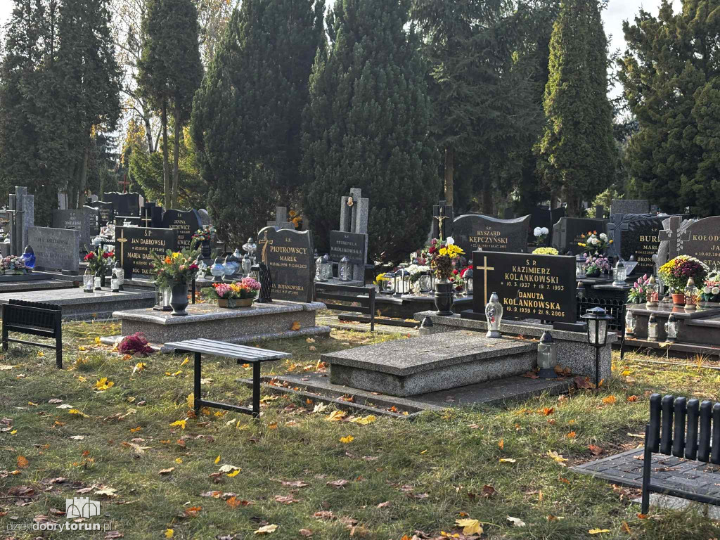 Cmentarz Centralny przed Dniem Wszystkich Świętych