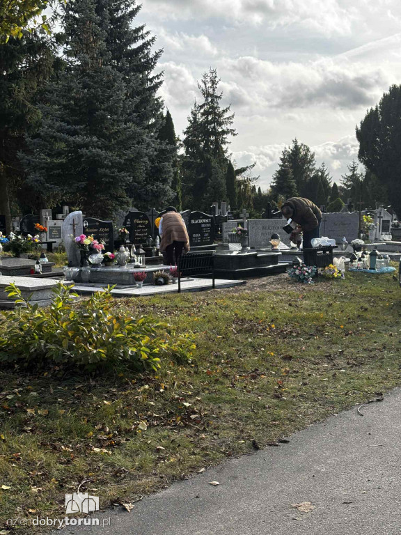 Cmentarz Centralny przed Dniem Wszystkich Świętych