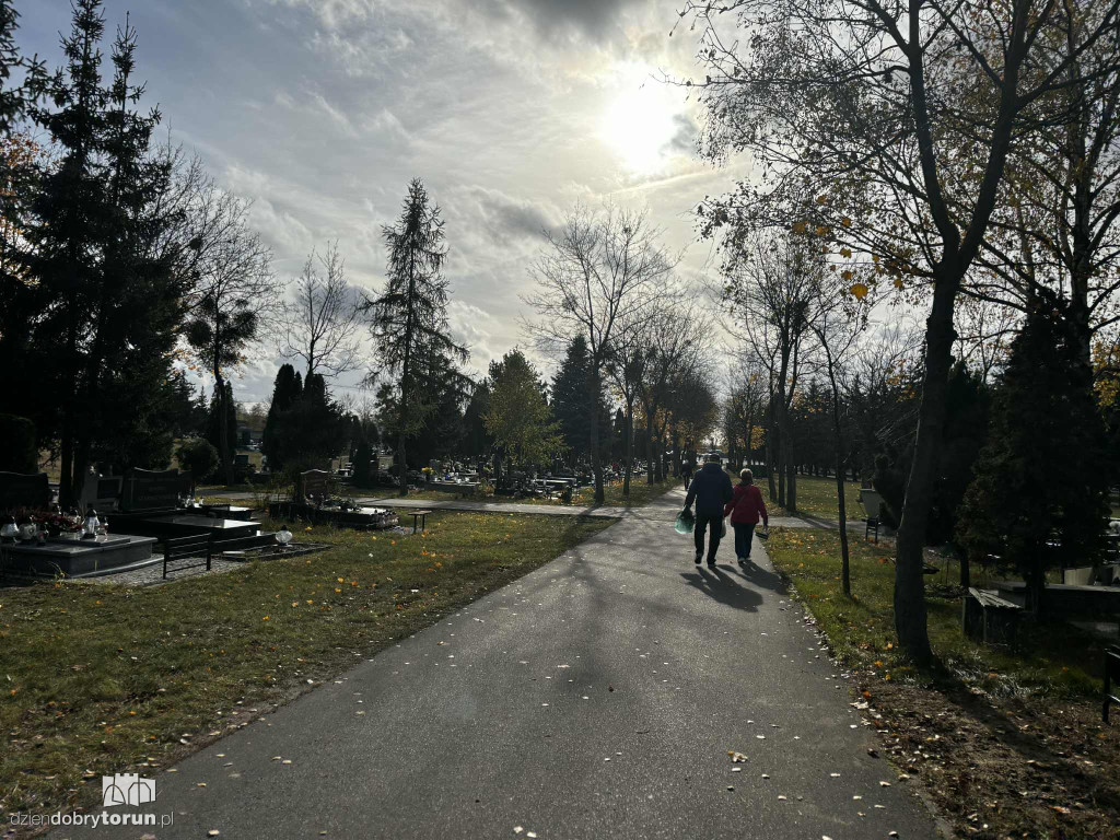 Cmentarz Centralny przed Dniem Wszystkich Świętych