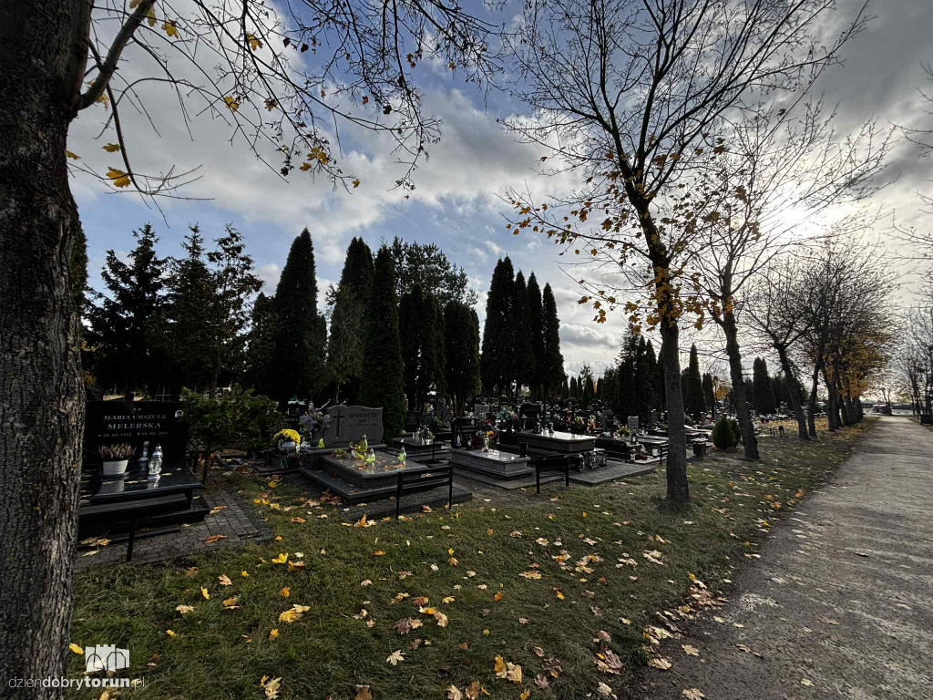 Cmentarz Centralny przed Dniem Wszystkich Świętych