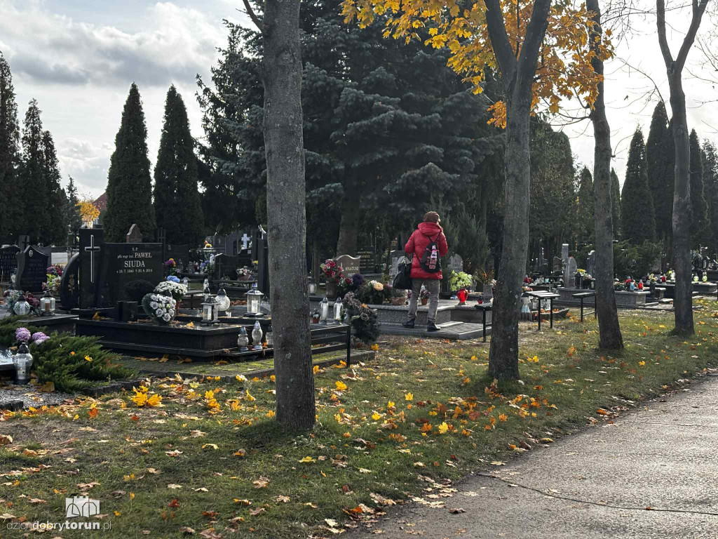 Cmentarz Centralny przed Dniem Wszystkich Świętych