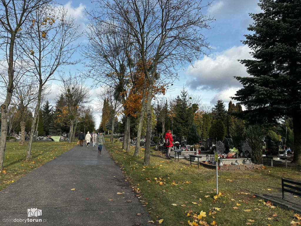 Cmentarz Centralny przed Dniem Wszystkich Świętych