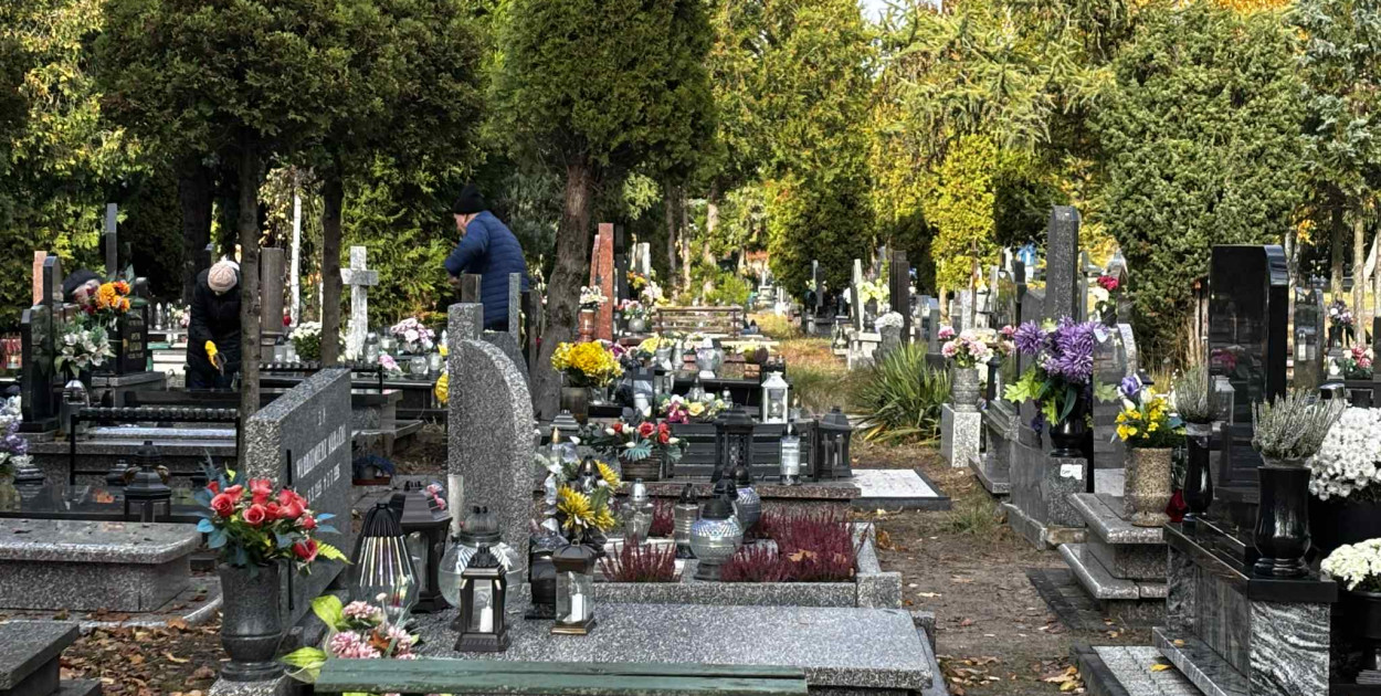Cmentarz Centralny przed Dniem Wszystkich Świętych