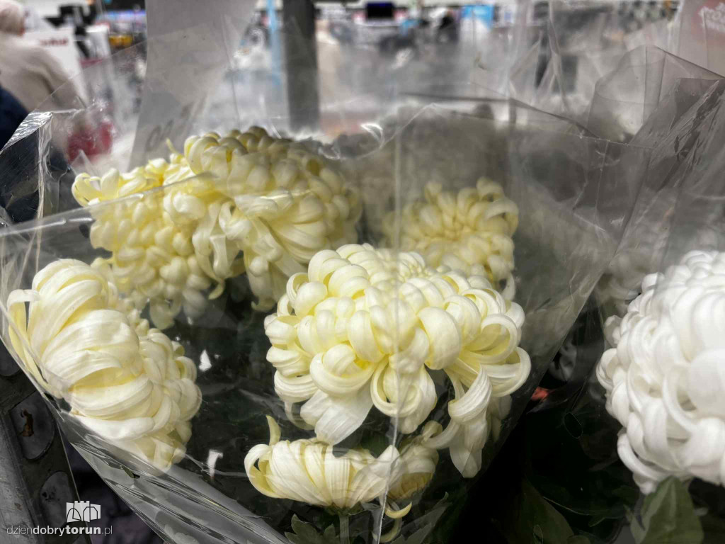 Wszystkich Świętych a popularny hipermarket. Jak z cenami?