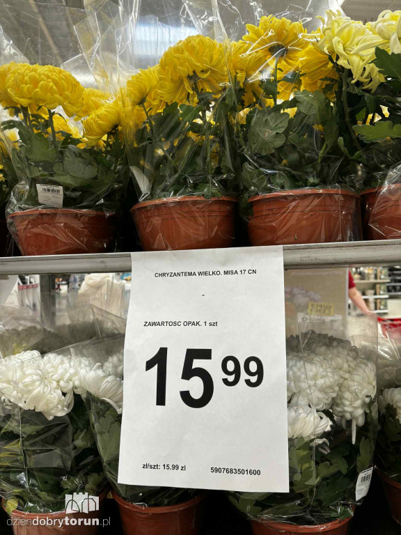 Wszystkich Świętych a popularny hipermarket. Jak z cenami?