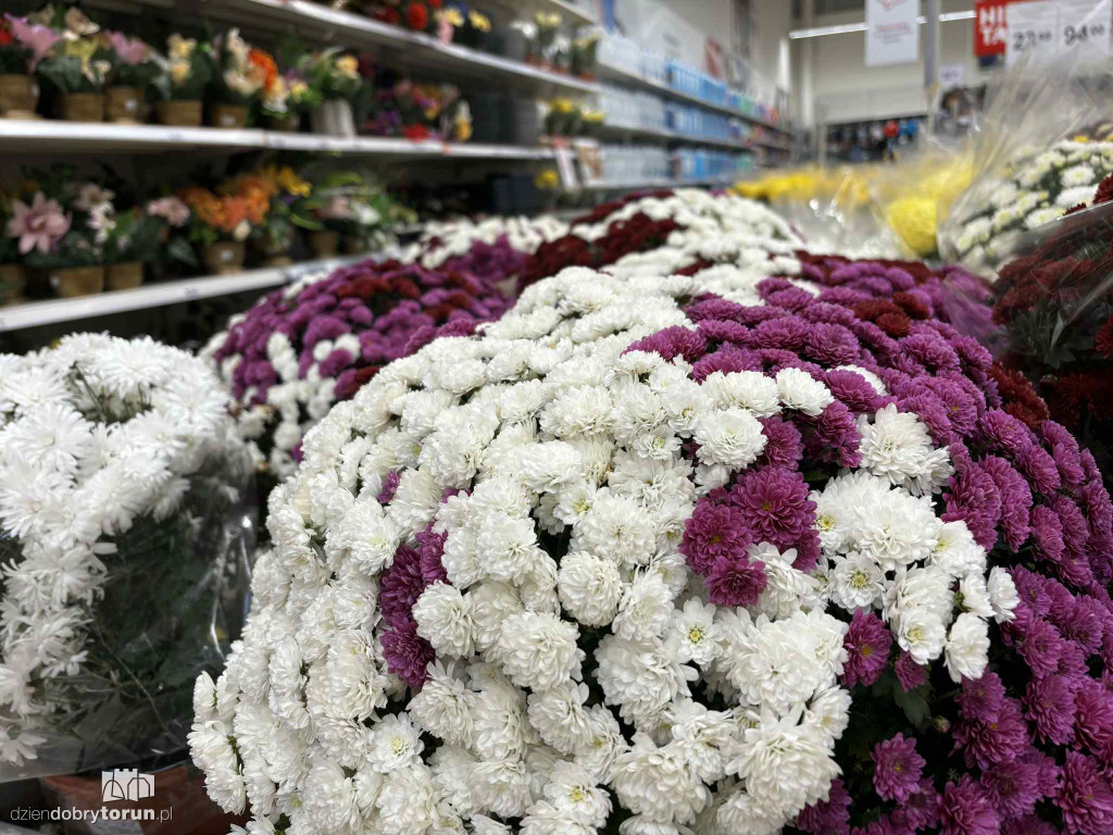 Wszystkich Świętych a popularny hipermarket. Jak z cenami?