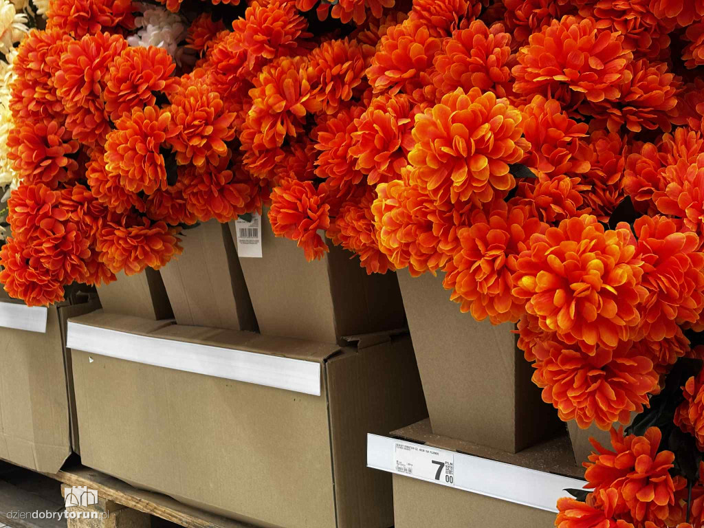 Wszystkich Świętych a popularny hipermarket. Jak z cenami?