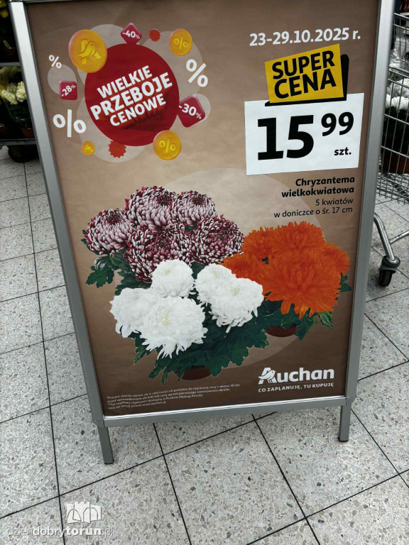 Wszystkich Świętych a popularny hipermarket. Jak z cenami?