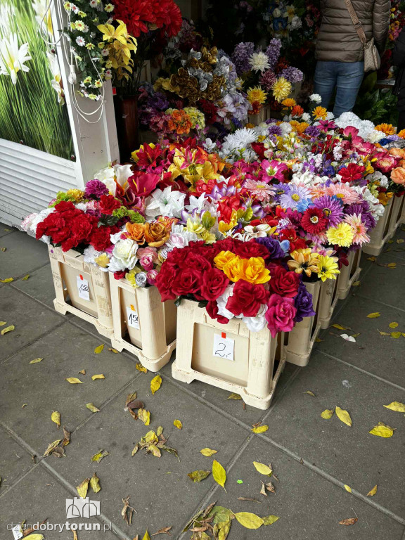 Kwiaty i znicze na toruńskim targowisku - jakie ceny?