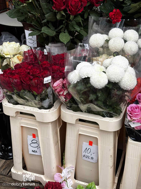 Kwiaty i znicze na toruńskim targowisku - jakie ceny?