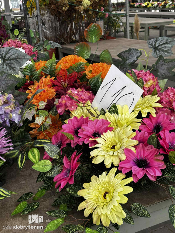 Kwiaty i znicze na toruńskim targowisku - jakie ceny?