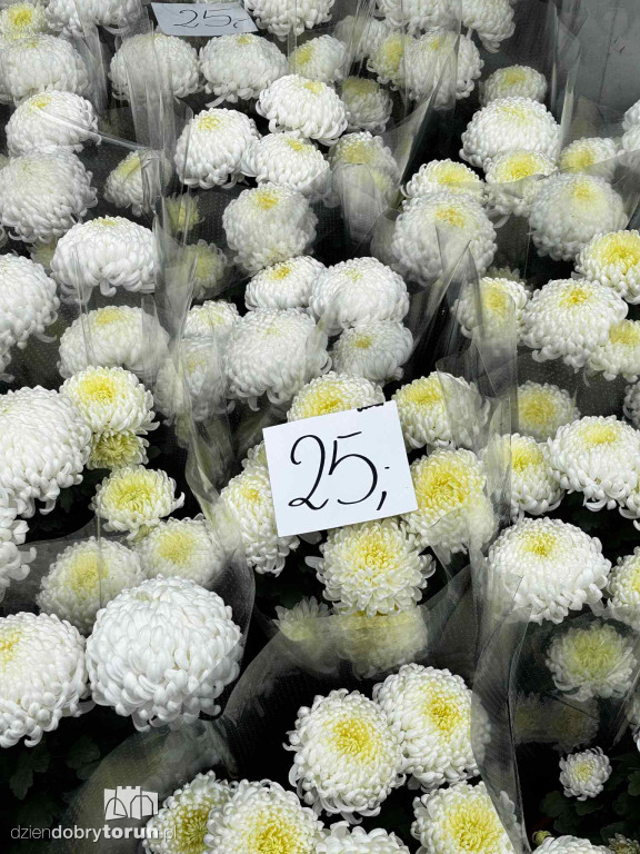 Kwiaty i znicze na toruńskim targowisku - jakie ceny?