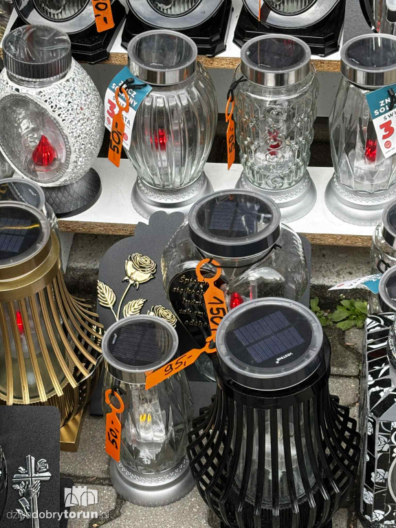 Kwiaty i znicze na toruńskim targowisku - jakie ceny?