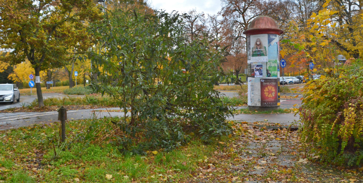 Tu stanie pomnik Zbigniewa Herberta