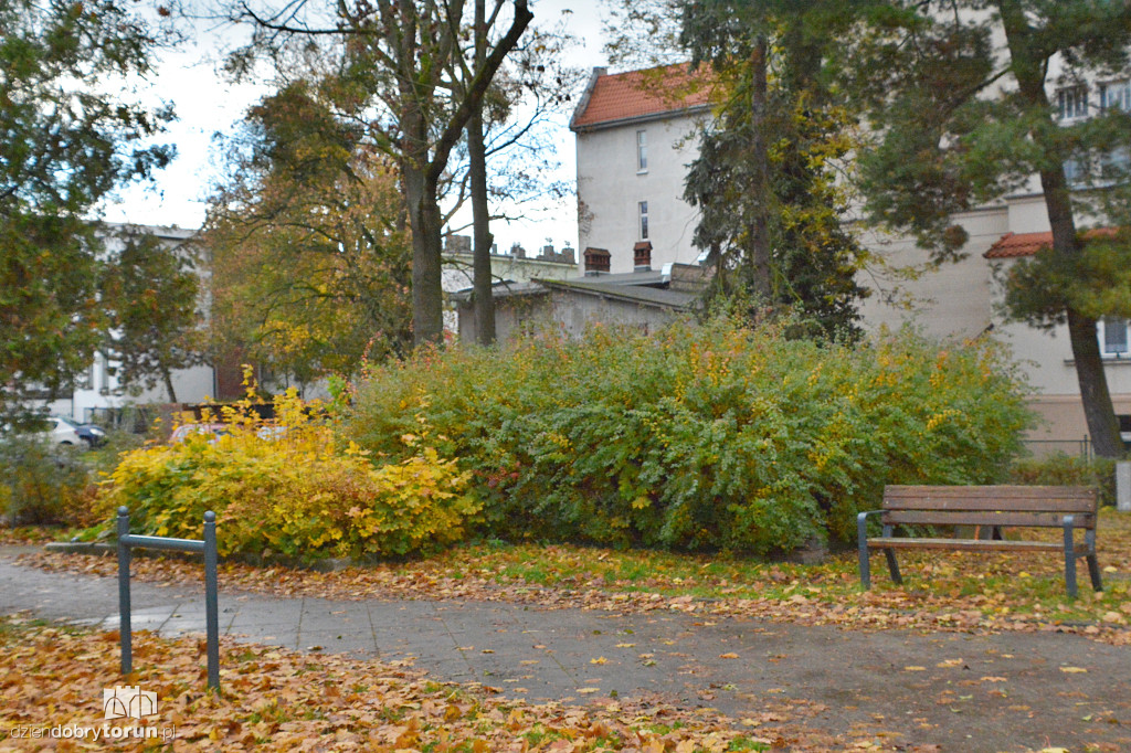 Tu stanie pomnik Zbigniewa Herberta